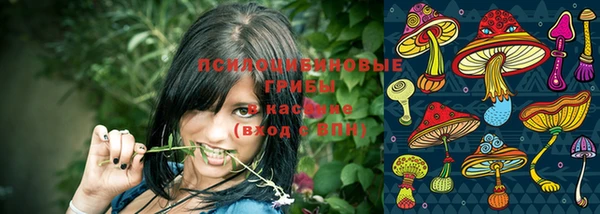 амфетамин Козловка